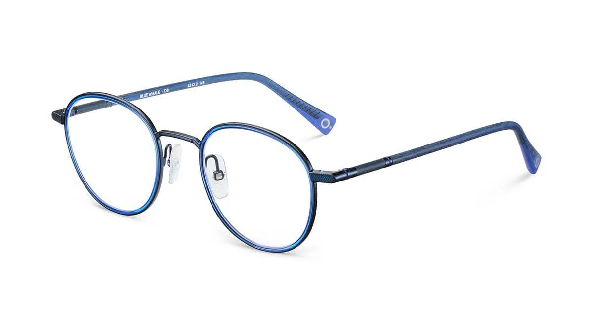 Etnia Barcelona BLUE WHALE Eyeglasses - view 10